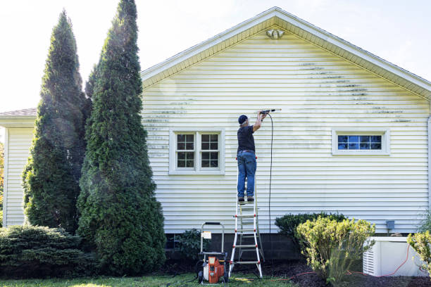 Best Soft Washing for Delicate Surfaces in Knoxville, IA