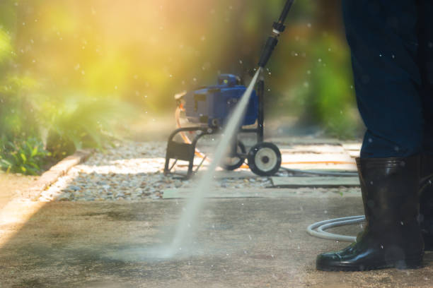 Best Roof Cleaning and Mildew Removal in Knoxville, IA